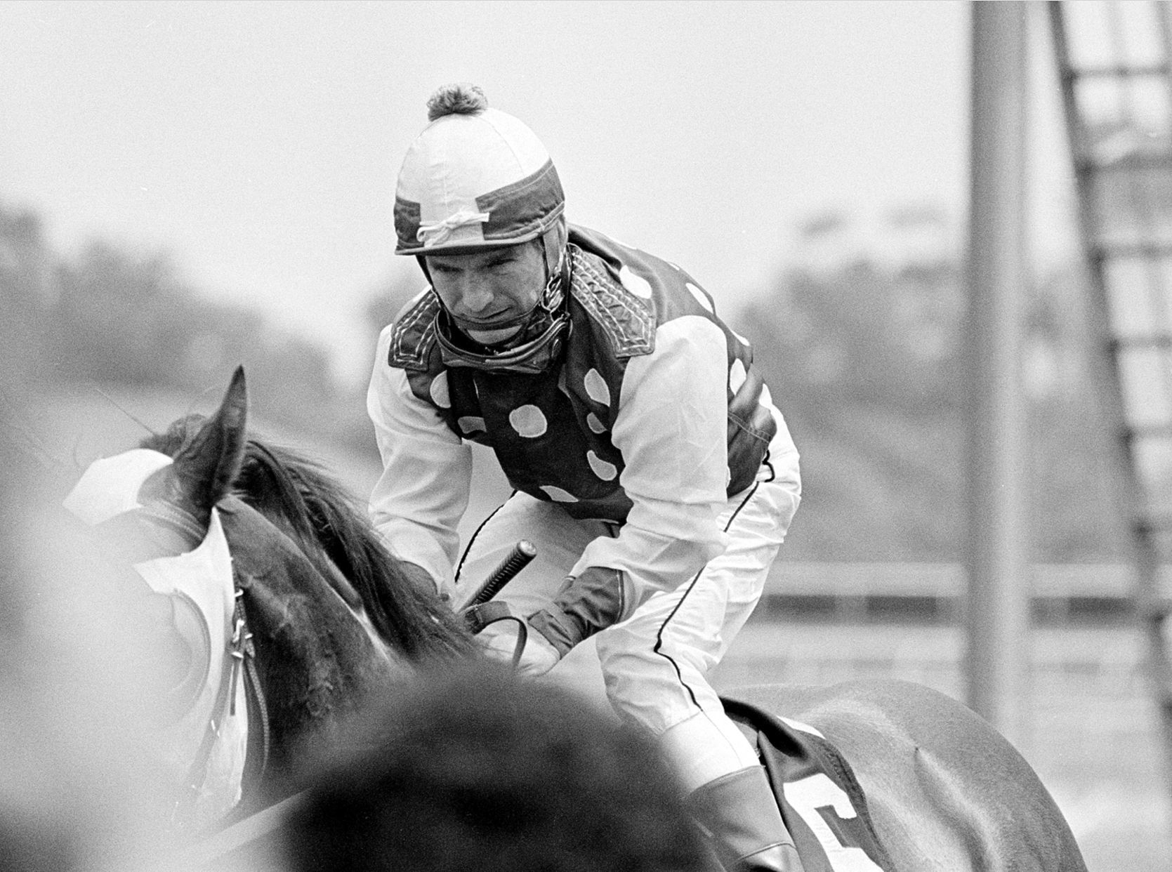 1981: Willie Shoemaker wins 8,000th horse race